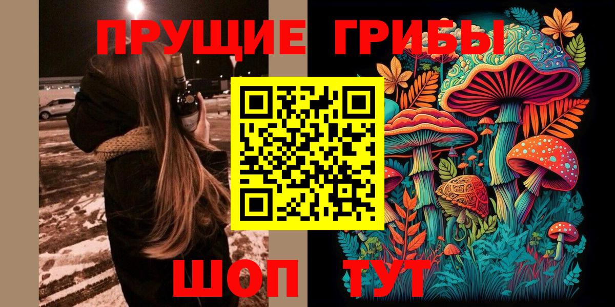 Псилоцибиновые грибы Psilocybe  Псилоцибиновые грибы ЛСД  Пушкино  Вход с VPN 